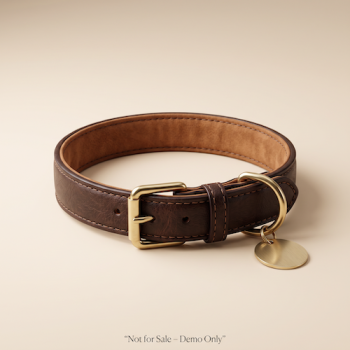 Tommy Collar Belt